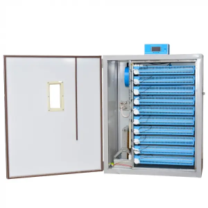 Incubator pentru oua Demetra DM-1000